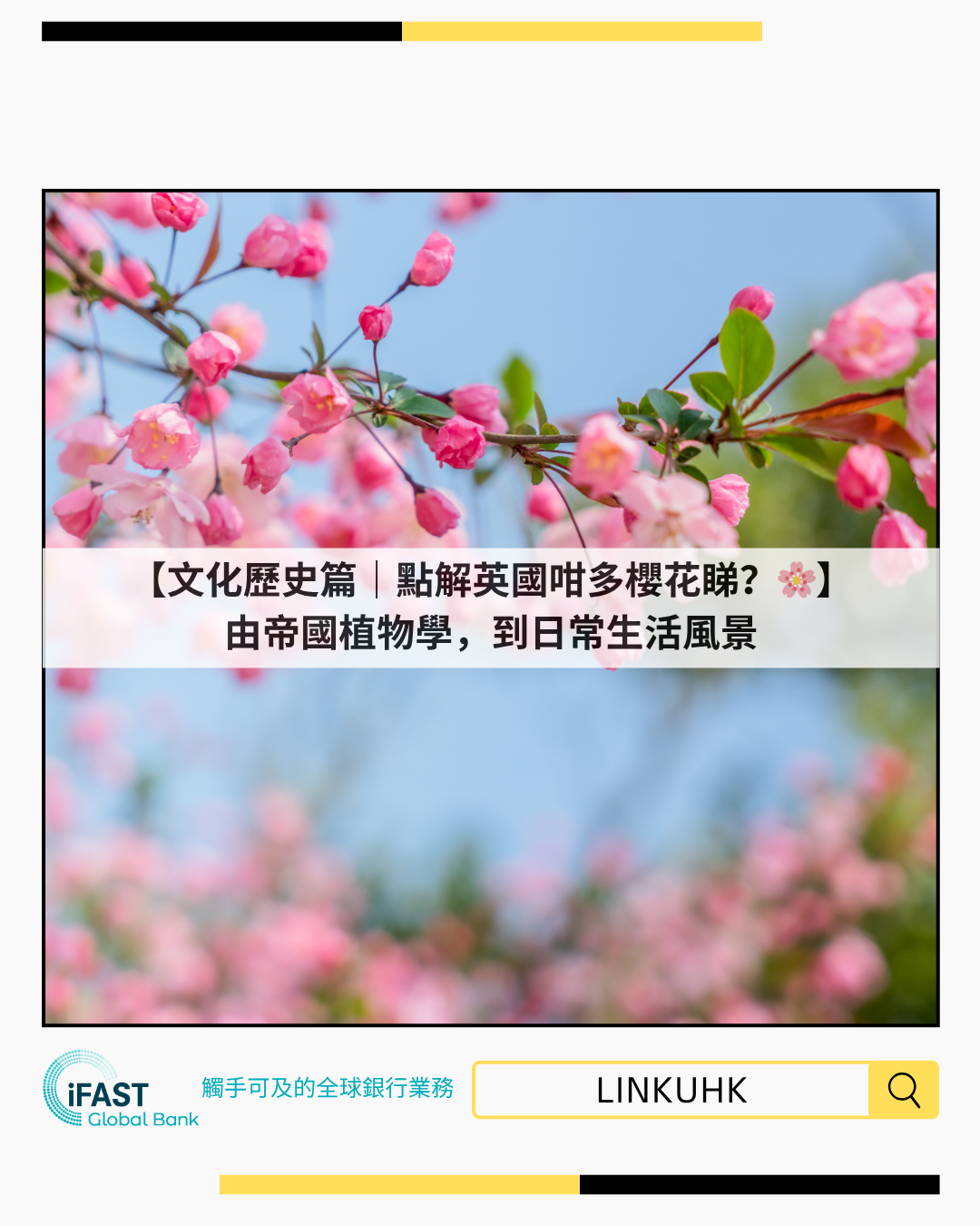 【文化歷史篇｜點解英國咁多櫻花睇？🇬🇧🌸】由帝國植物學，到日常生活風景